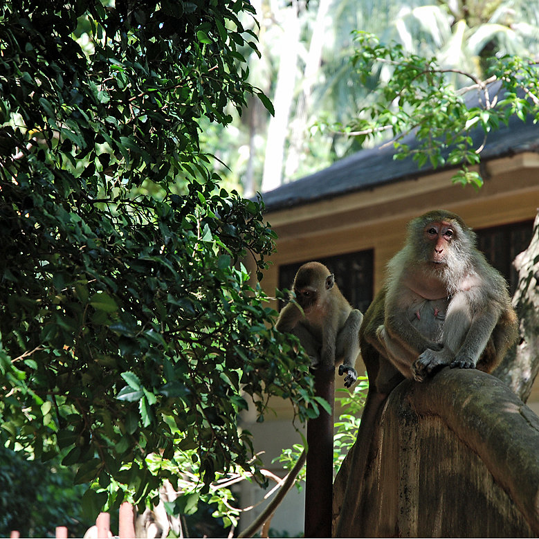 20150530-Thailand-0325.jpg