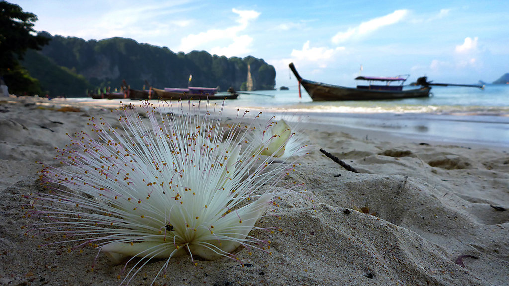 20150530-Thailand-Lumix-0448.jpg