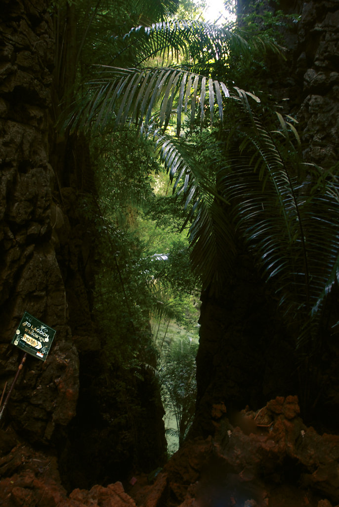 to lagoon. vertically
