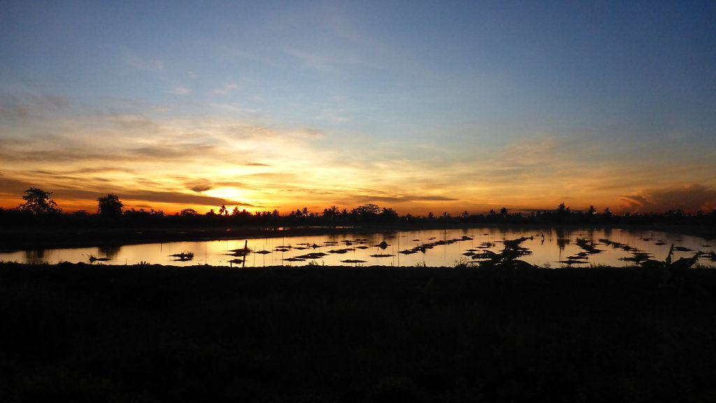 first sunrise in Thailand - pic out of the open window of the night train from Bangkok to Surat Thani