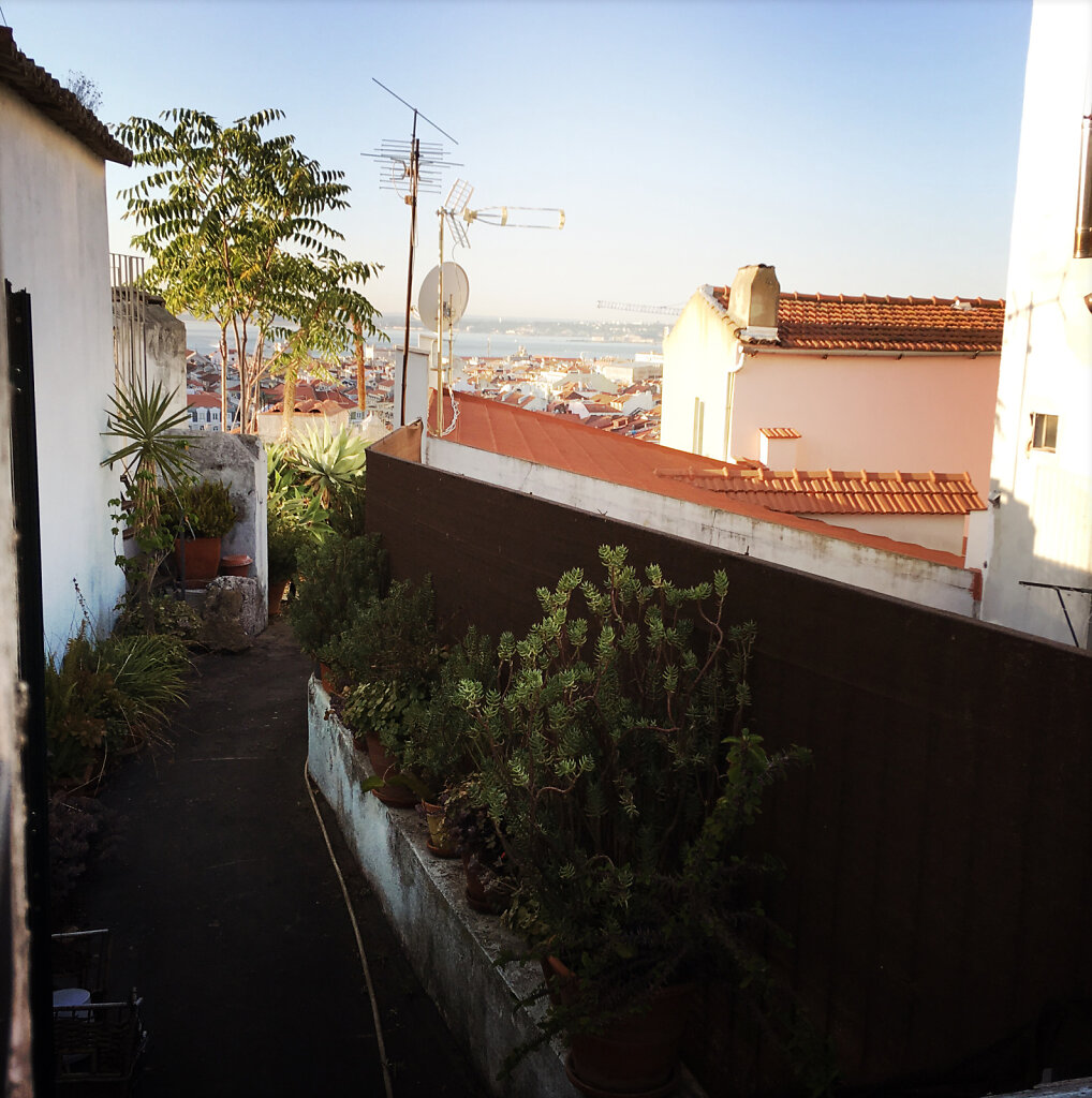 Lisbon rooftops