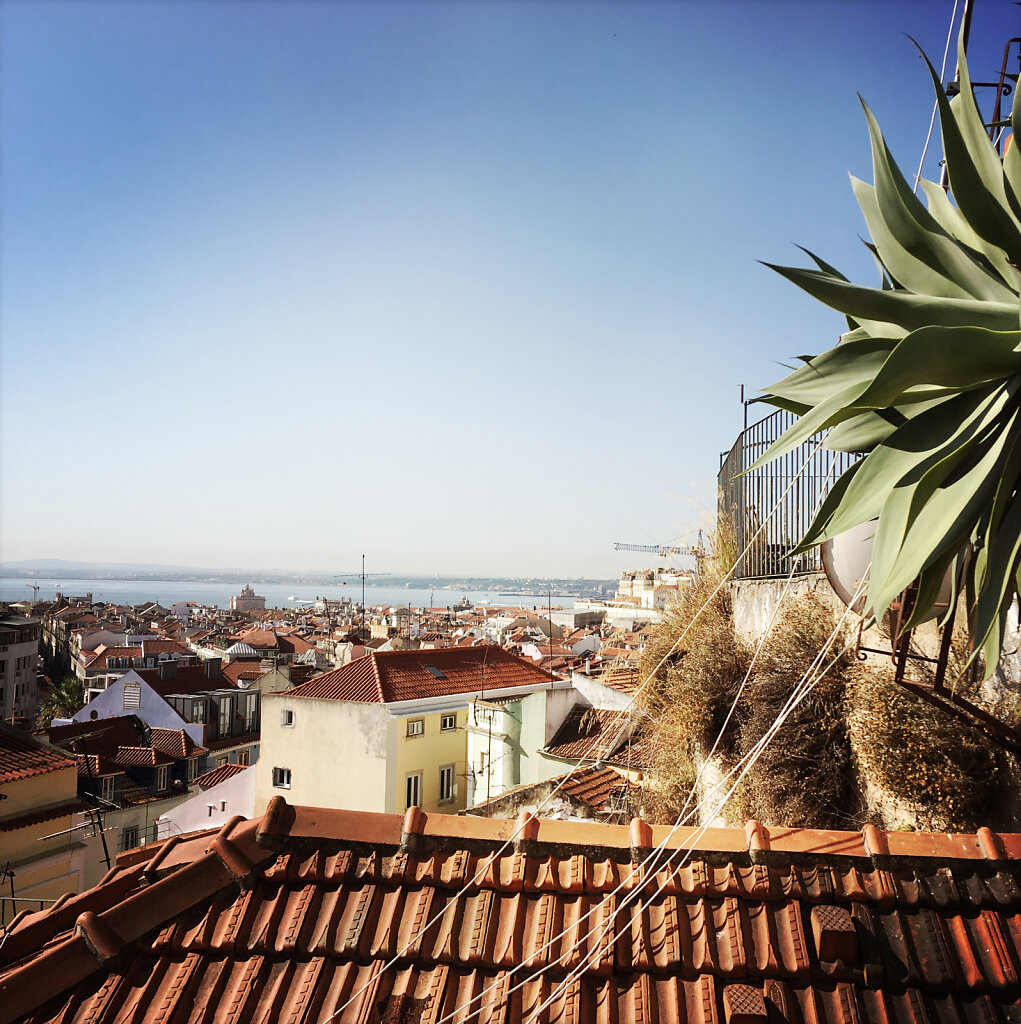 Lisbon rooftops