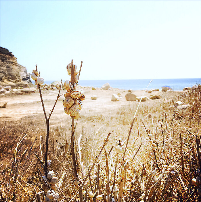 hippie-beach